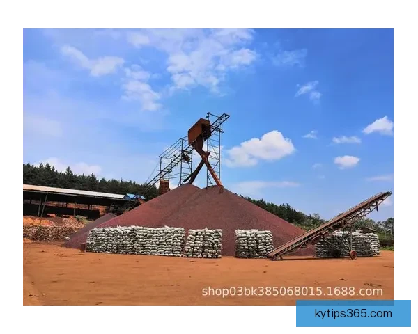 世界杯竞猜首存优惠火热来袭新用户专享高额彩金与免费竞猜机会